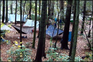 Stealth camping hammocks Harriman state Park