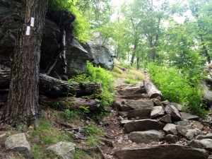 Stone steps along the white-blazed Appalachian Trail, near Elk Pen, in Harriman State Park NY.