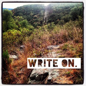 Can you write?  MyHarriman.com is interested in publishing informative and useful articles about all things related to Harriman State Park, NY