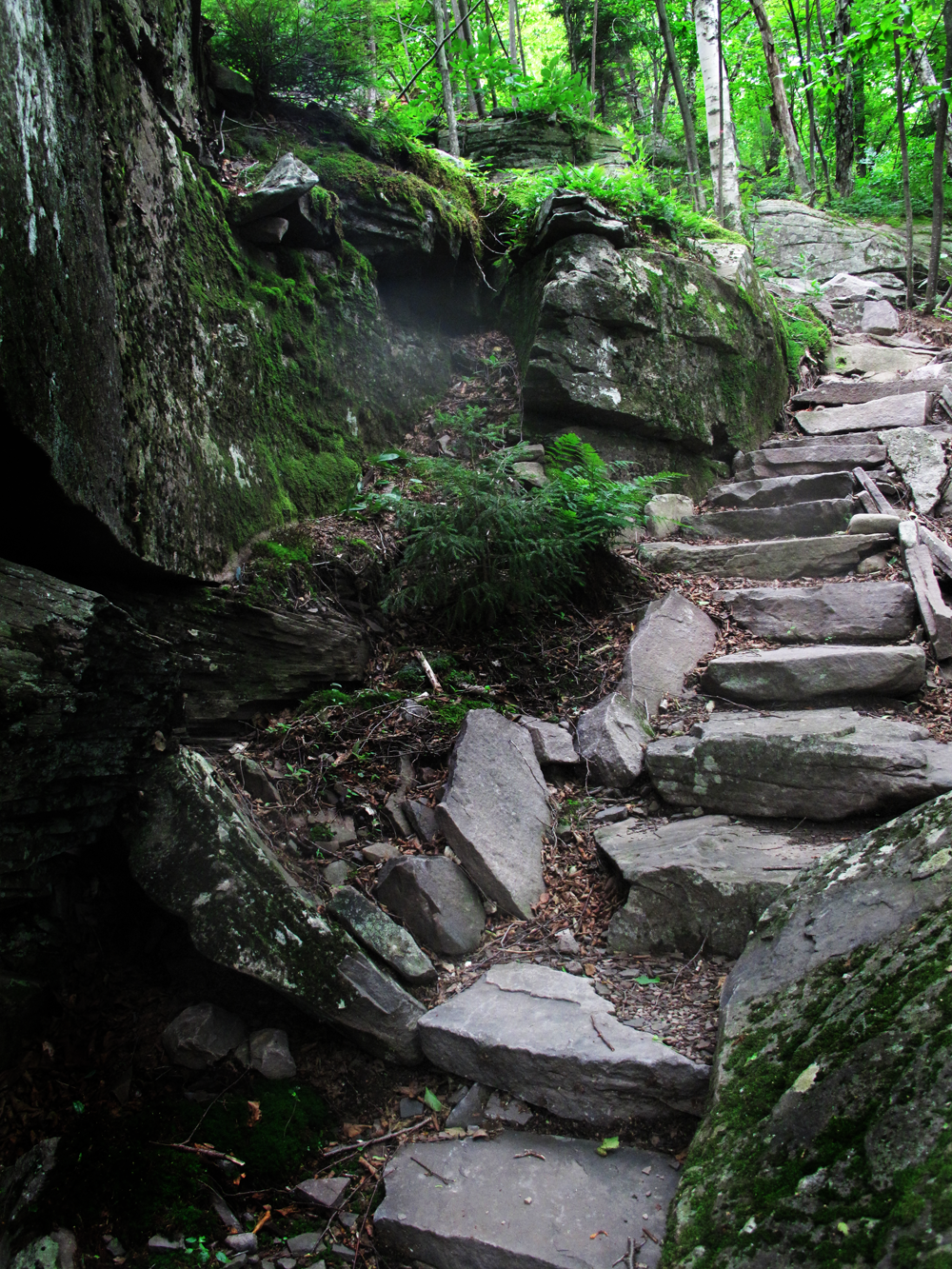 Catskill Trails, 5th Edition