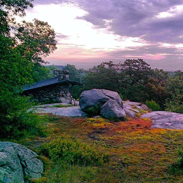 Big Hill shelter, amid colorful plants along the Suffern Bear Mountain trail in Harriman State Park