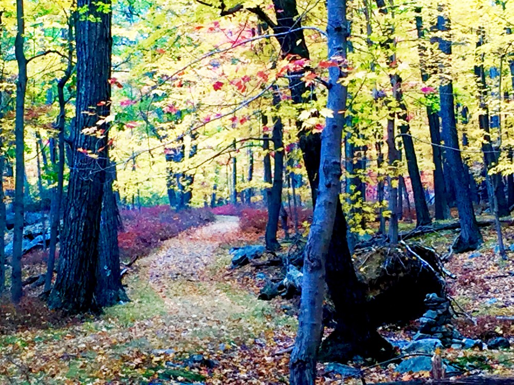 The soft, leaf-carpeted trail leaves the road near Thendara Mountain Club and weaves through some colorful forest. At the end of October, the leaves were still largely in the trees. Nice.