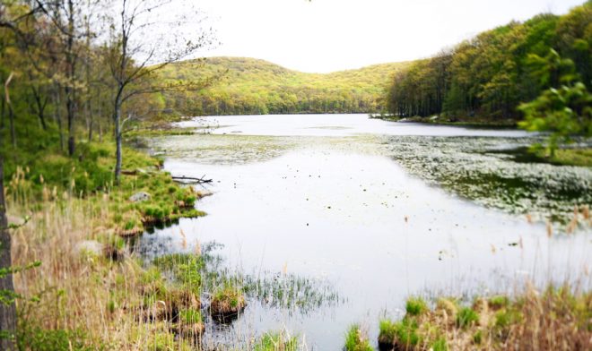 A view of Silvermine Lake in spring.