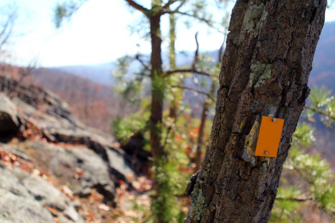 The Suffern-Bear Mountain Trail, a "stiff" trail that will challenge you to finish its 23-mile length, or simply climb to its many viewpoints and return to little Suffern, the upstate town at its base.