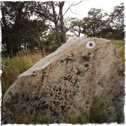 Bald Rocks | Hogencamp Mountain Hike | Harriman State Park