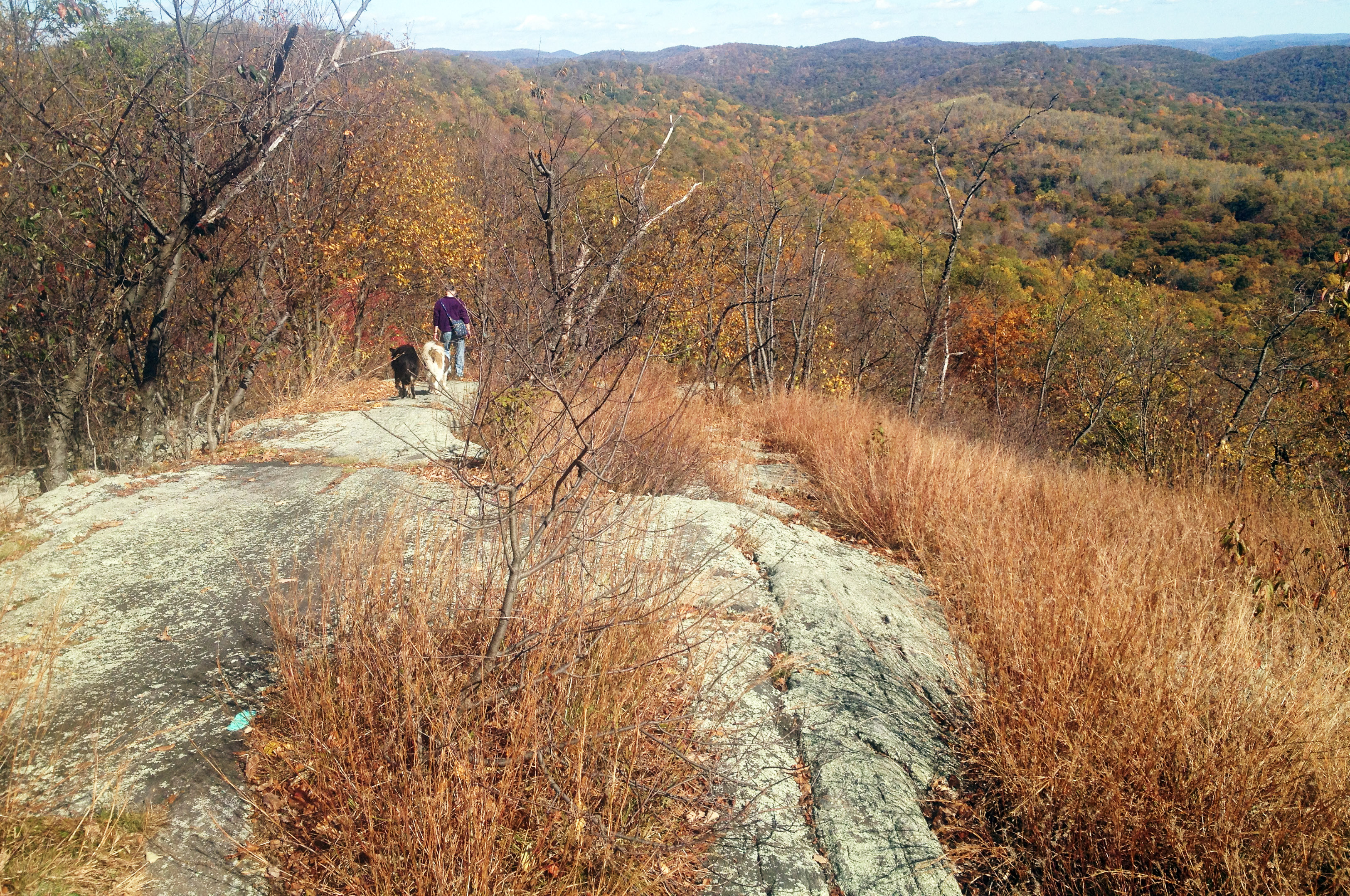 Best Hikes in Harriman #2 | The Quickie, with a View | Long Mountain