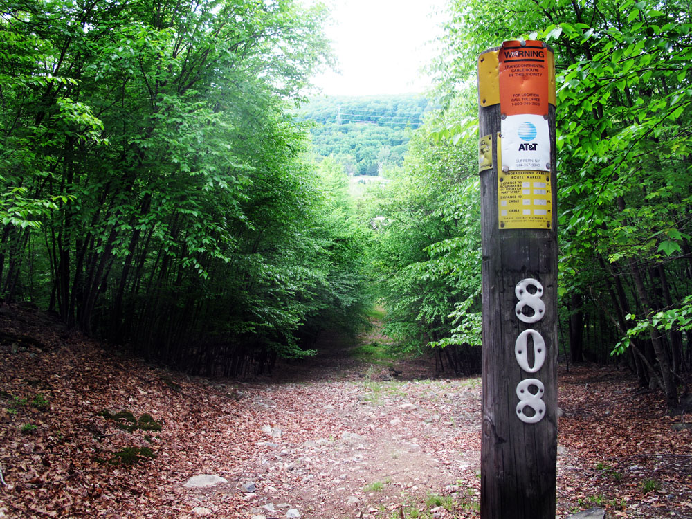 A Hike That Begins, and Ends, At Dunkin Donuts