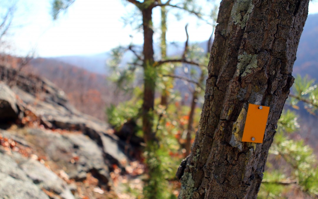 Suffern-Bear Mountain Trail, 83 Years Ago: “A Stiff New Trail Calls to Hikers”