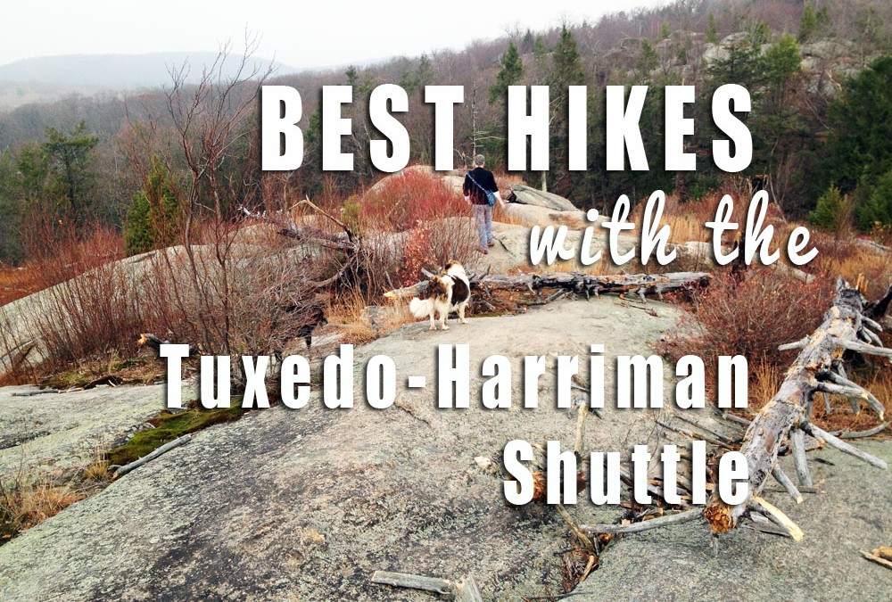 The Best Day Hikes in Harriman, Using the New Shuttle
