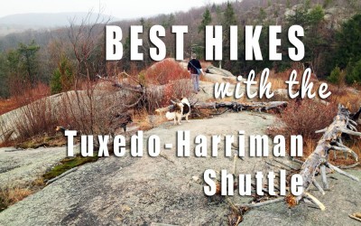 The Best Day Hikes in Harriman, Using the New Shuttle